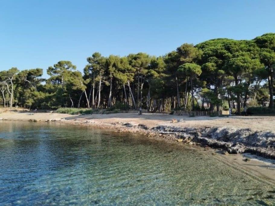 Charmant Studio Climatise 24 M2 Terrasse A 100M De La Plage Saint-Mandrier-sur-Mer Eksteriør billede